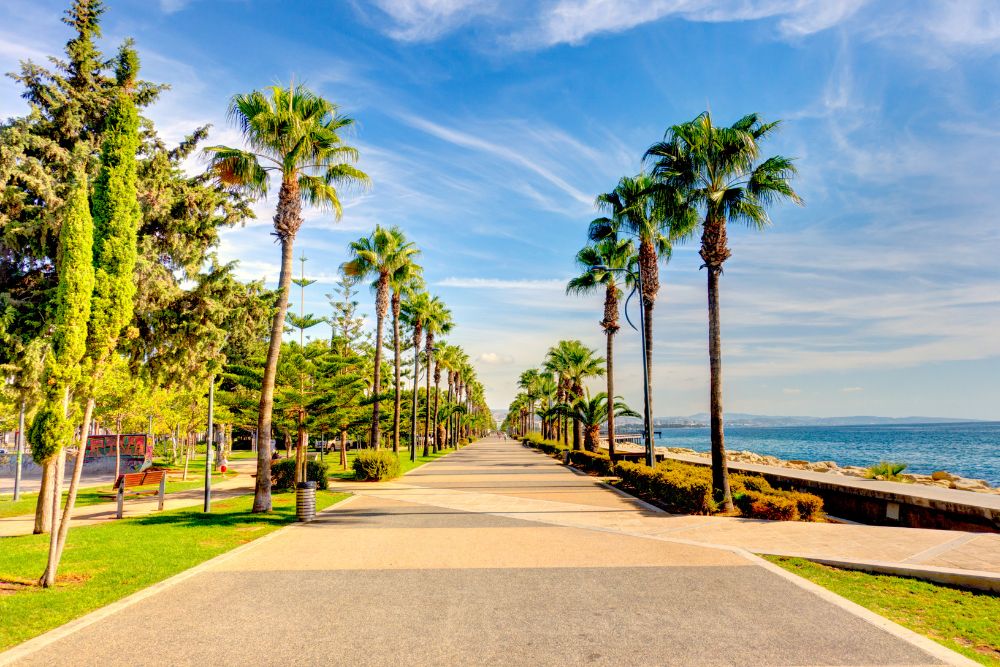 Why Renting a Car Is the Best Way to Explore Cyprus 