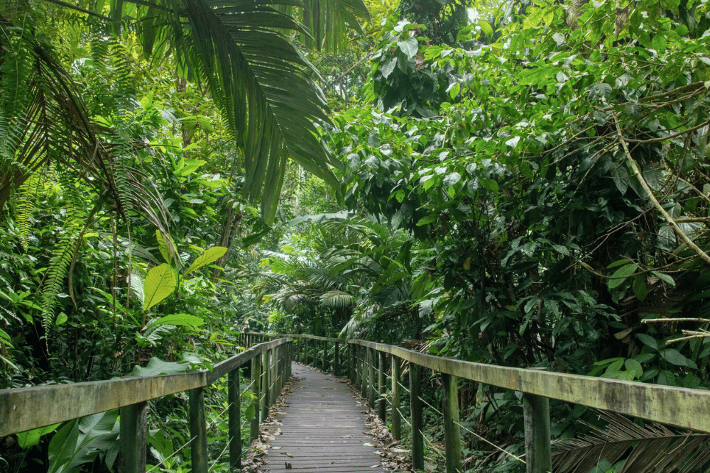 Costa Rica Festivals Summer Guide