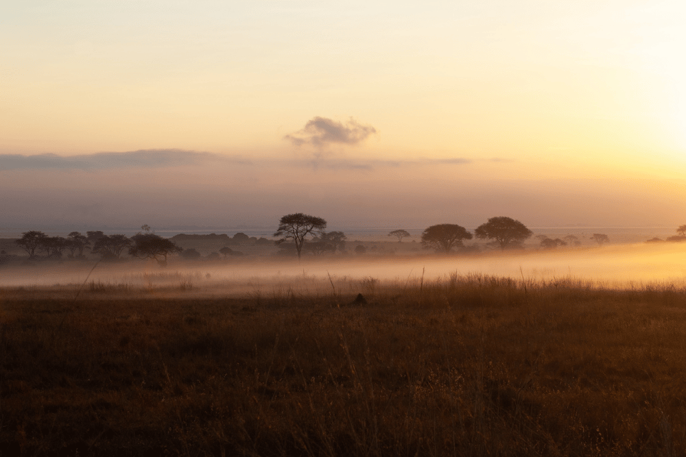 5-Day Kenya Itinerary: The Perfect Adventure