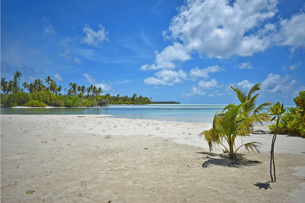 Hidden Gems in Jamaica You Need to Explore by Car