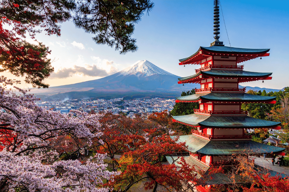Why Japan Should Be on Your 2026 Travel Bucket List