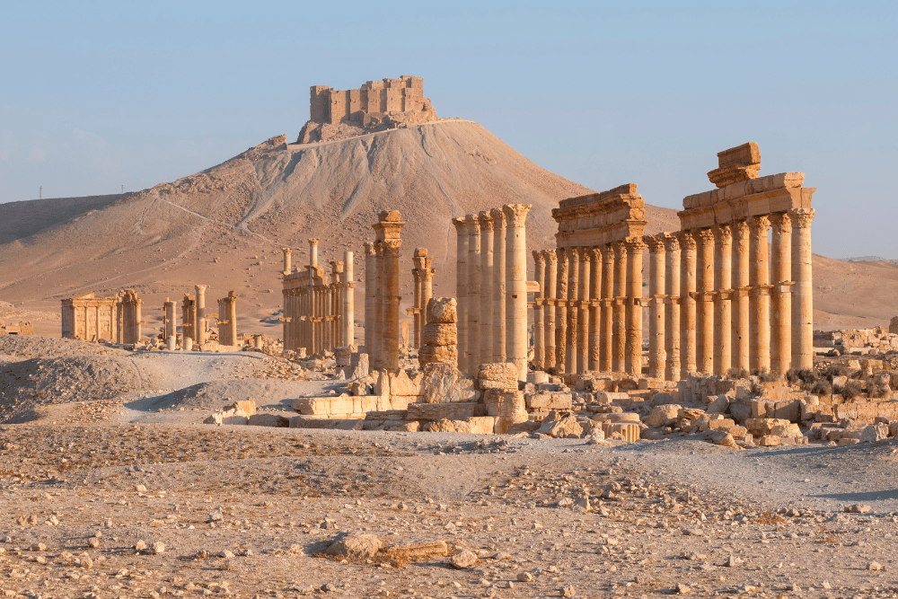 We're Expanding: Our New Car Rental Branch is Now Open in Syria