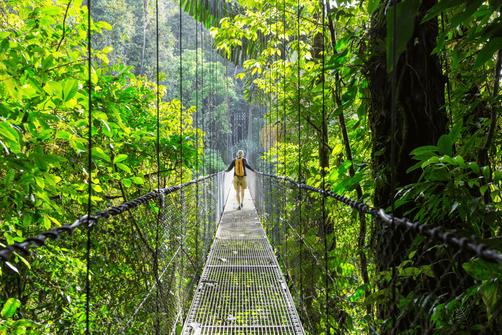 New Attractions and Things to Do in Costa Rica