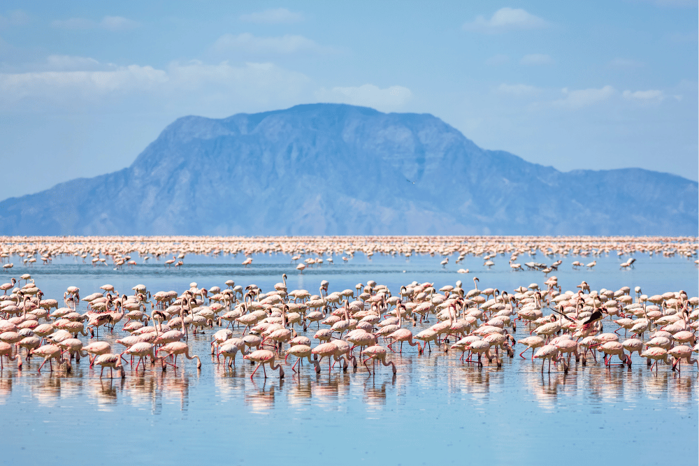 Hidden Gems in Tanzania You Can Only Reach by Car