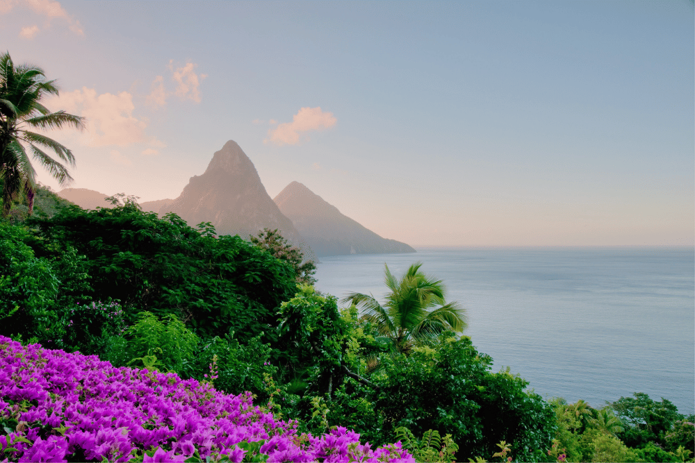 Right Cars Arrives in St Lucia: Your Island Adventure Starts Here